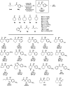 Scheme 4