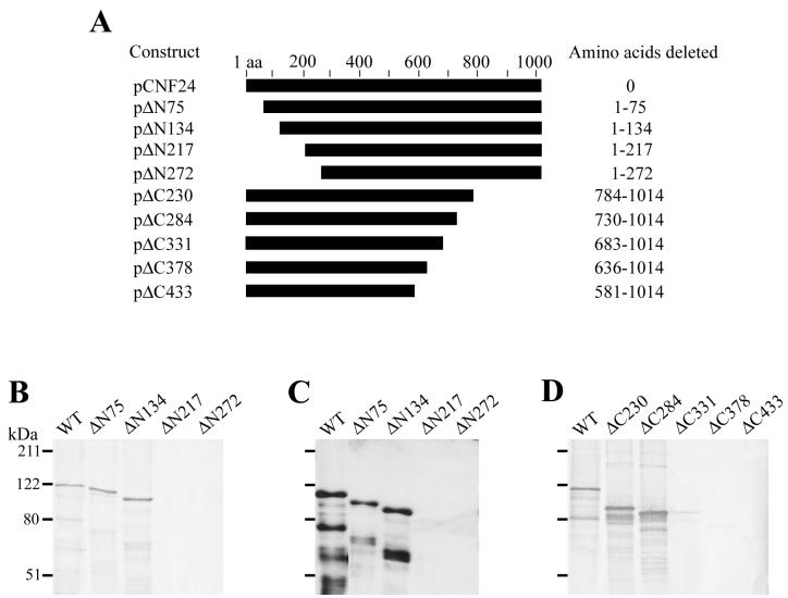 FIG. 3