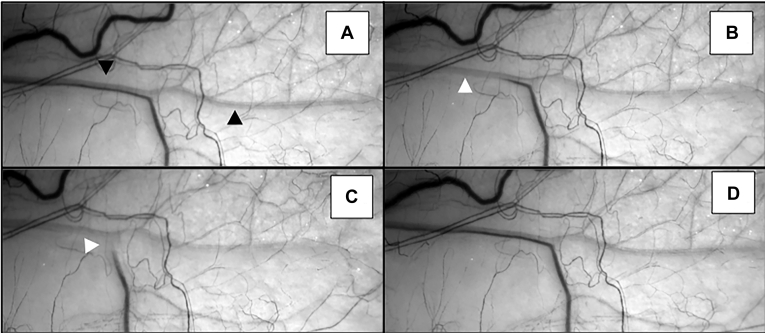 Figure 3