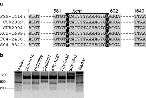 Fig. 6