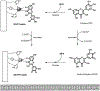 Fig. 8.