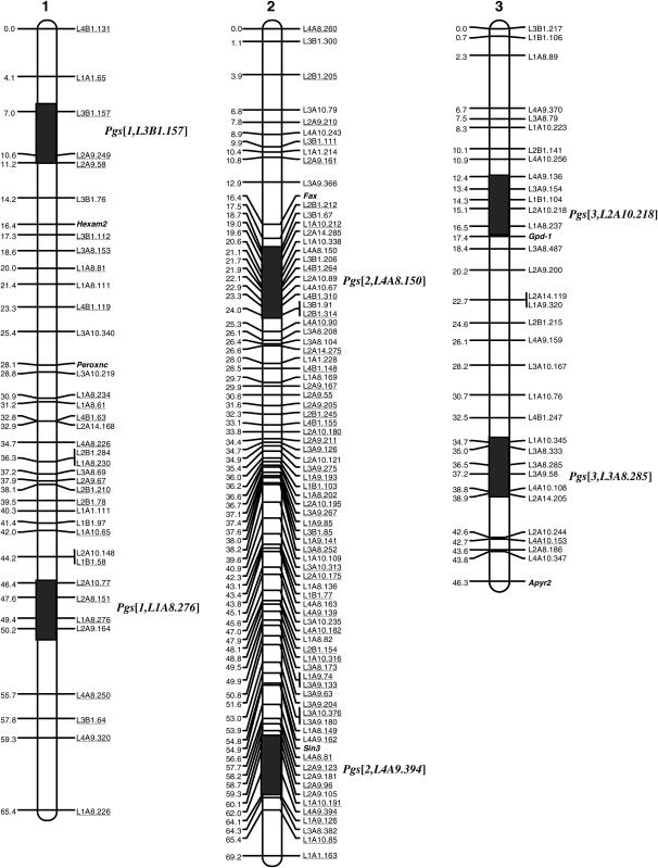 Figure 1.—