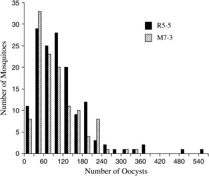 Figure 2.—