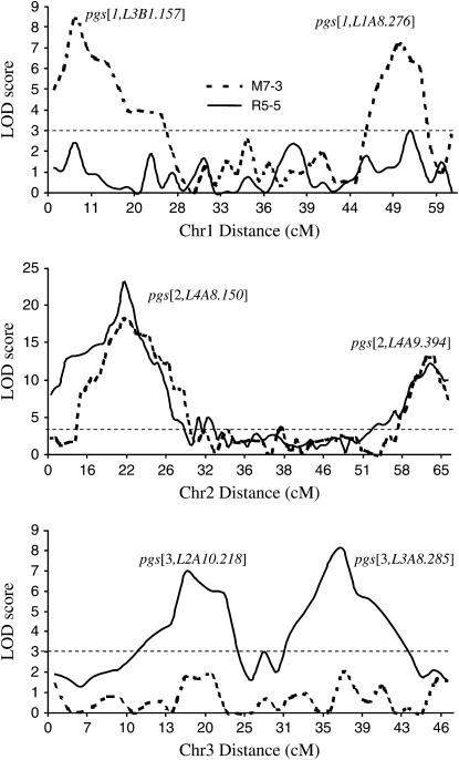 Figure 3.—