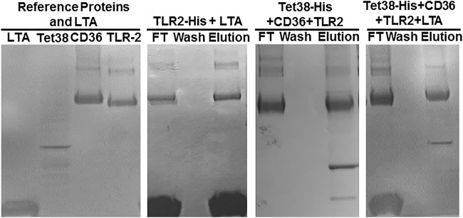 FIG 4