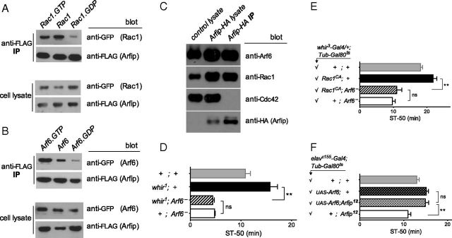 Figure 7.