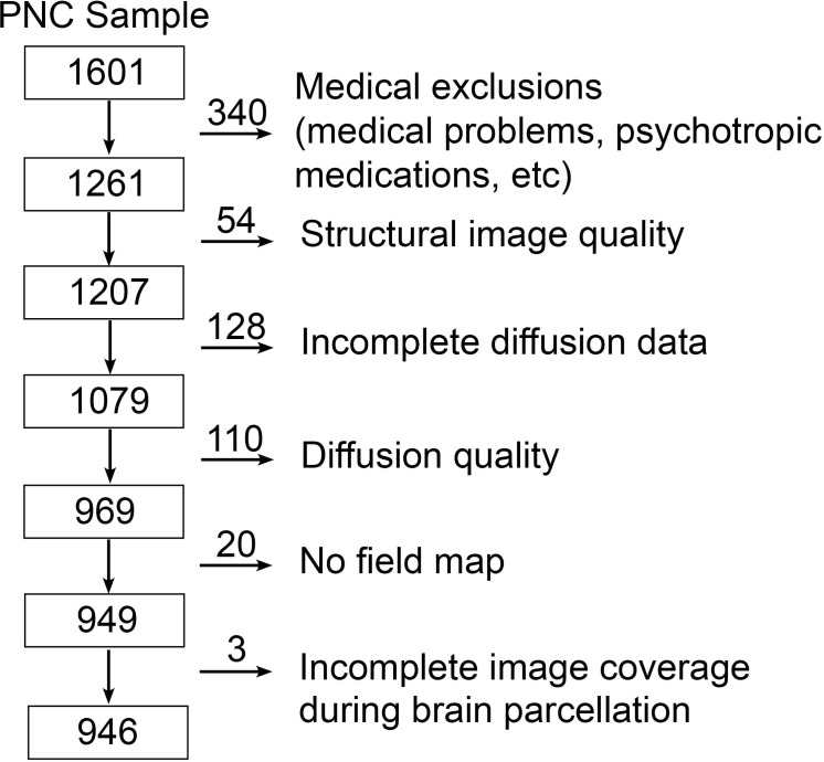 Figure 1—figure supplement 1.