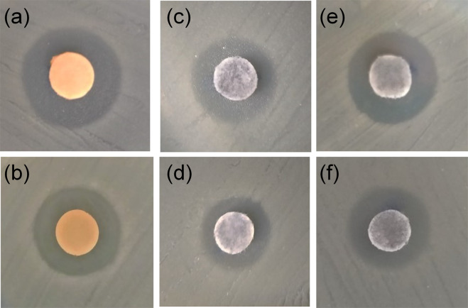 Fig. 10