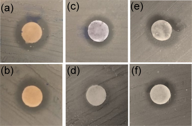 Fig. 11