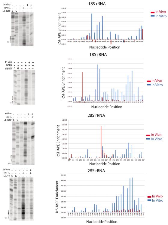 Extended Data Figure 4