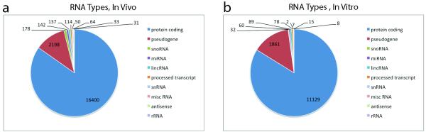 Extended Data Figure 6