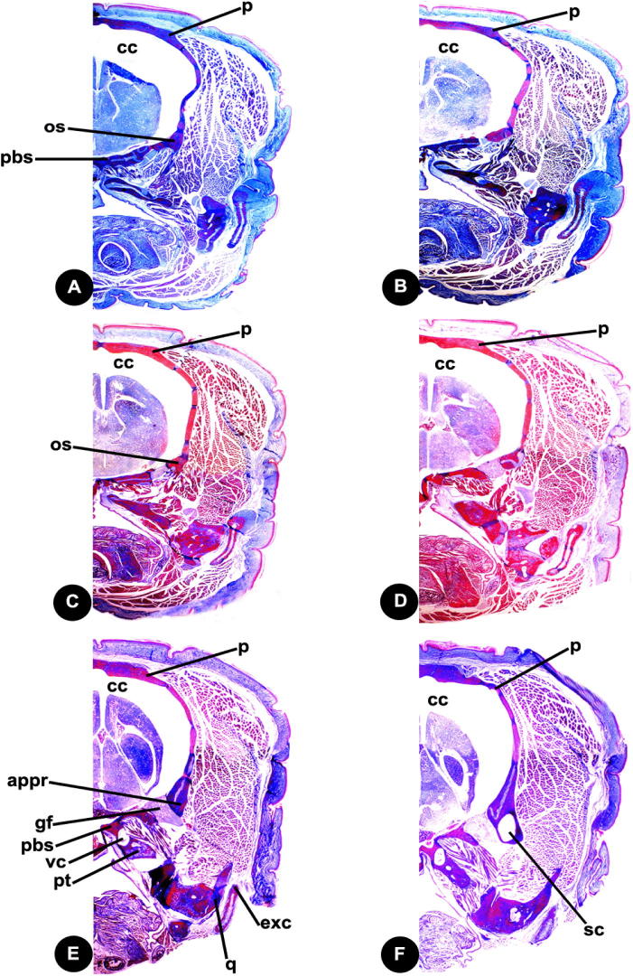 Fig. 7