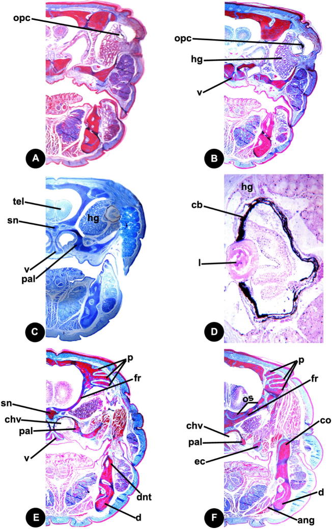 Fig. 5