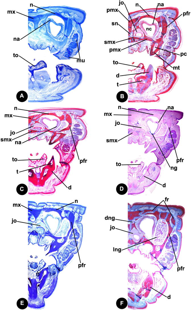 Fig. 3