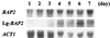FIG. 8