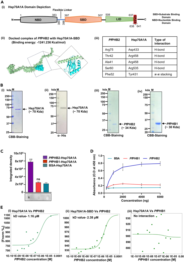 Figure 2