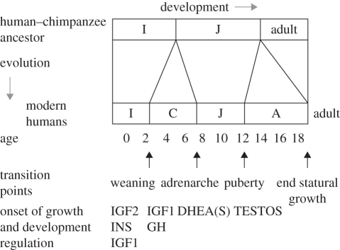 Figure 1.