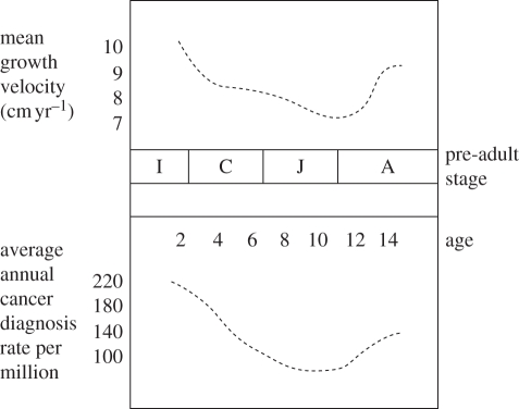 Figure 2.