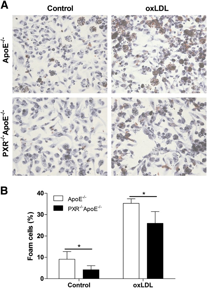 Fig.4.