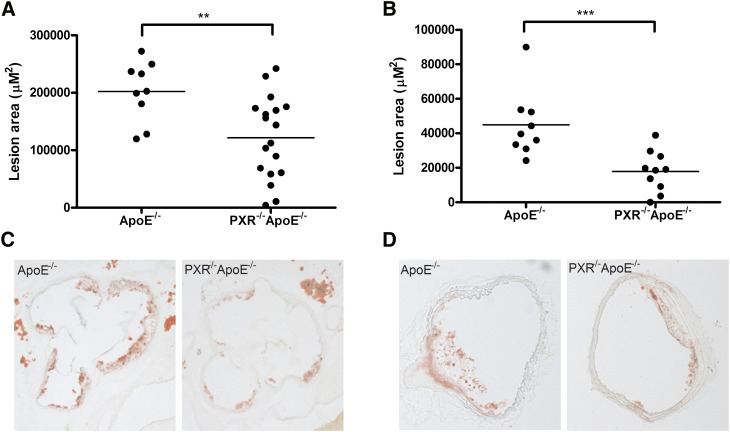 Fig.2.