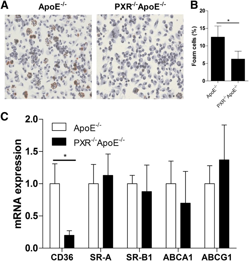 Fig.3.