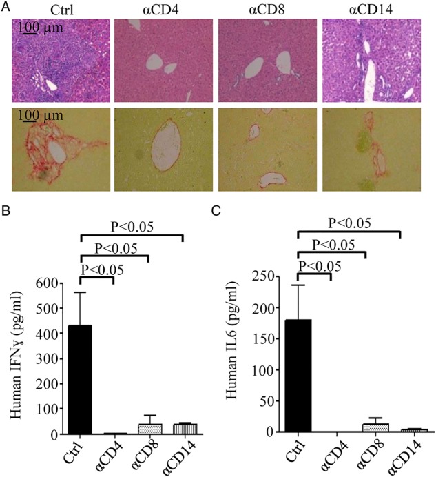 Figure 5