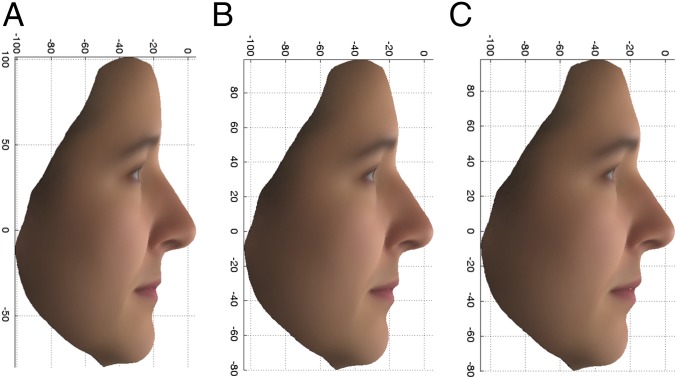 Fig. 5.