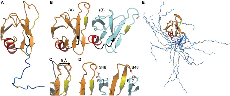 FIGURE 2