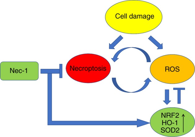 Figure 6.