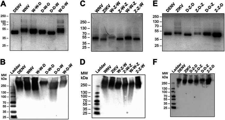 FIG 2