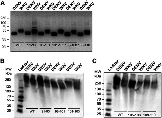 FIG 6