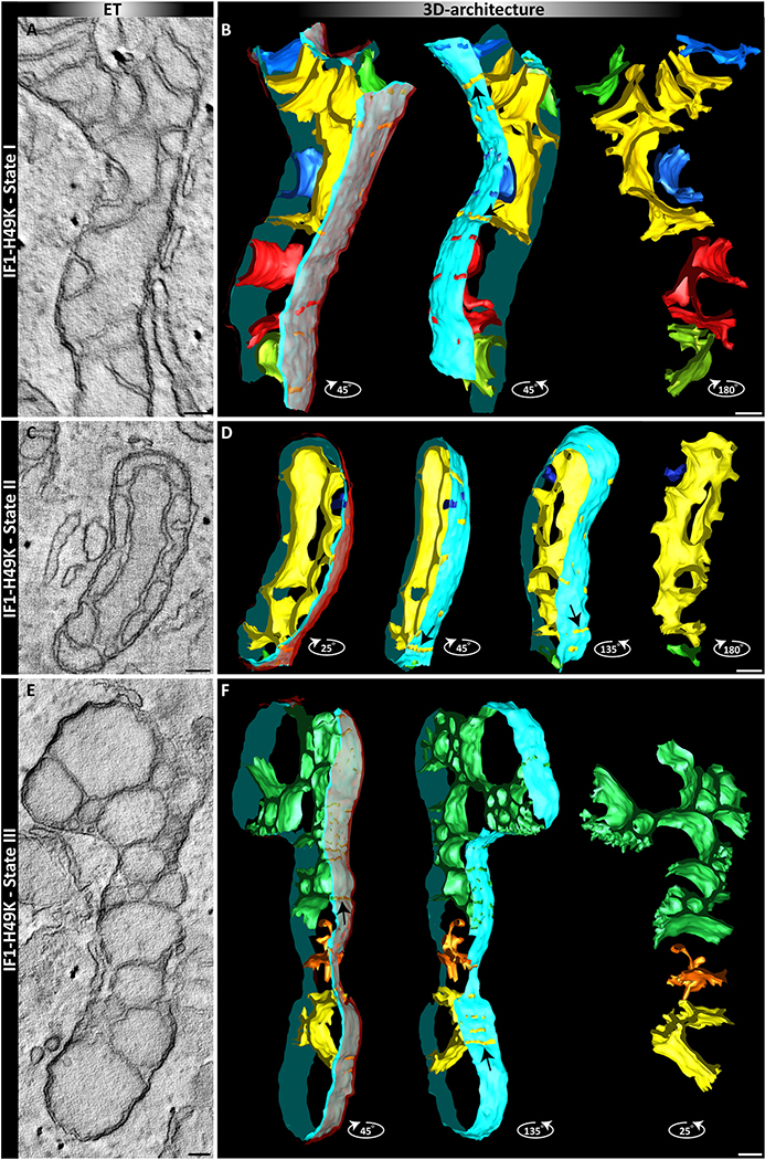 Fig. 7.