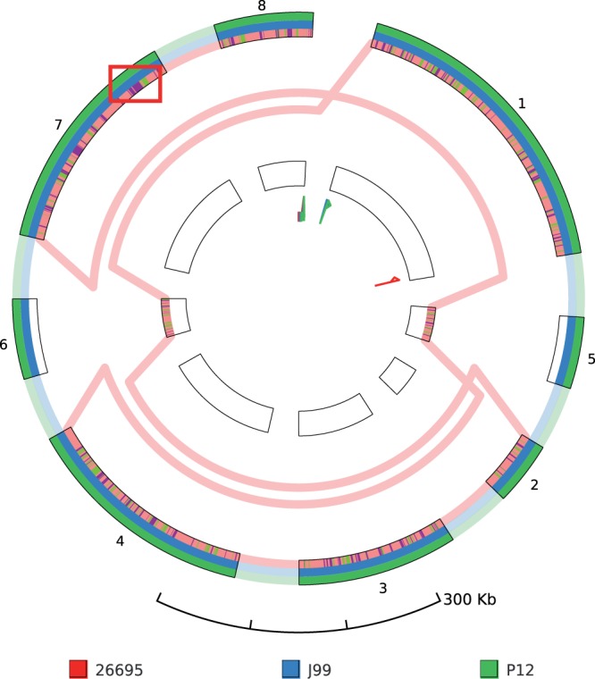 Fig. 4.