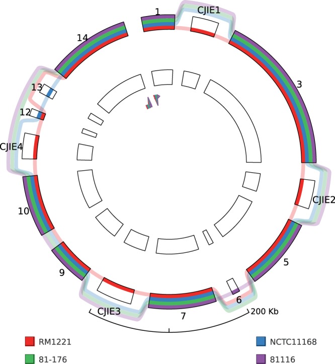 Fig. 3.