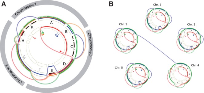 Fig. 7.