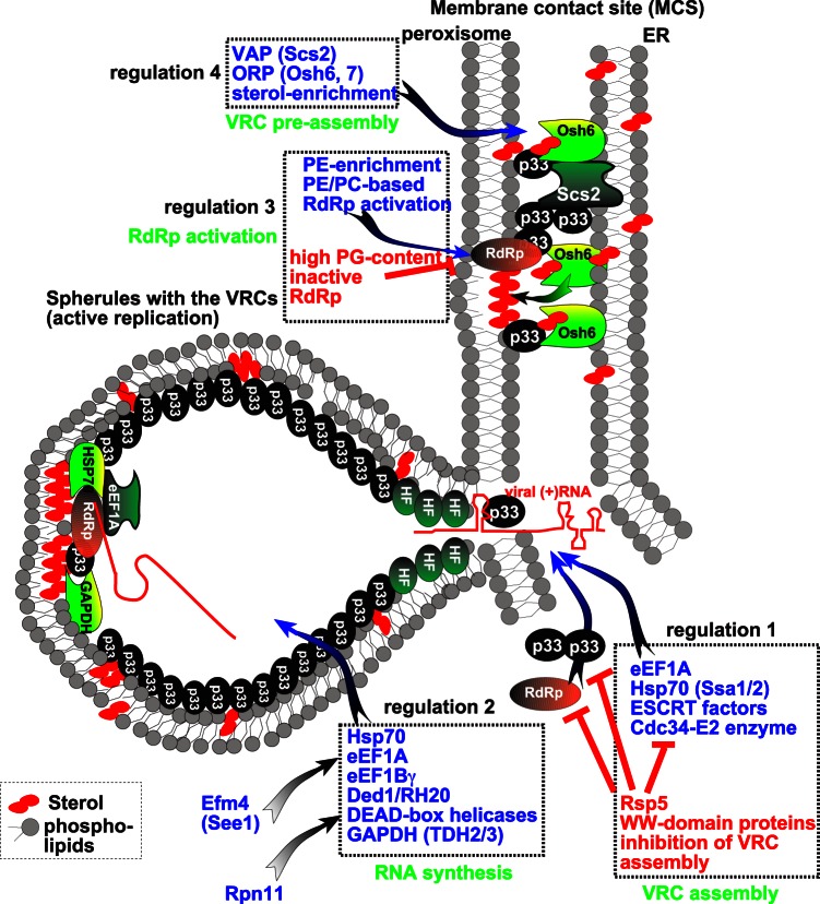 FIG 1