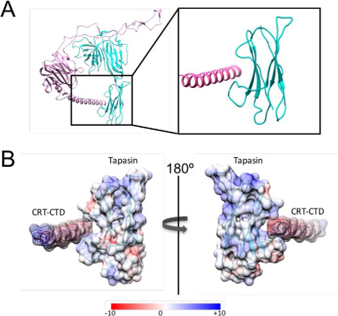 Figure 5.