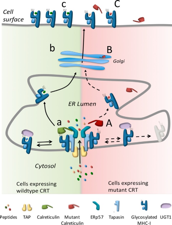 Figure 6.