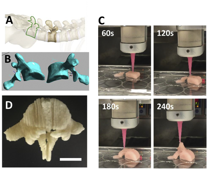 Fig. 7