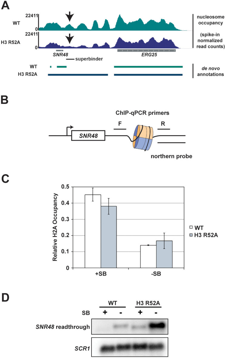 Figure 7.