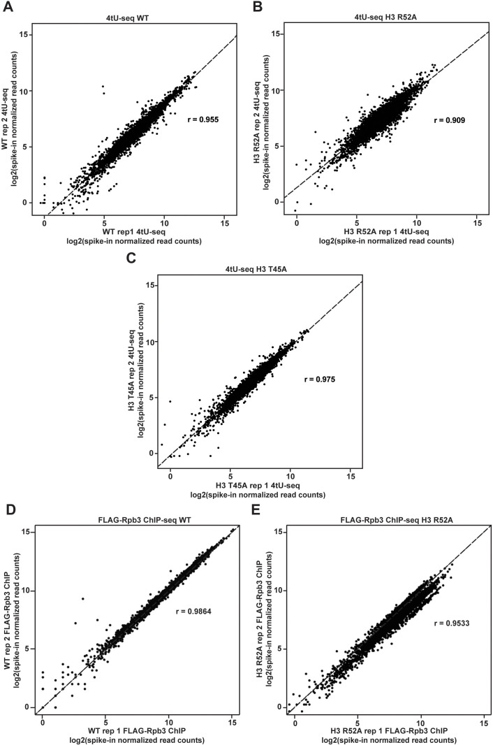 Figure 3—figure supplement 2.