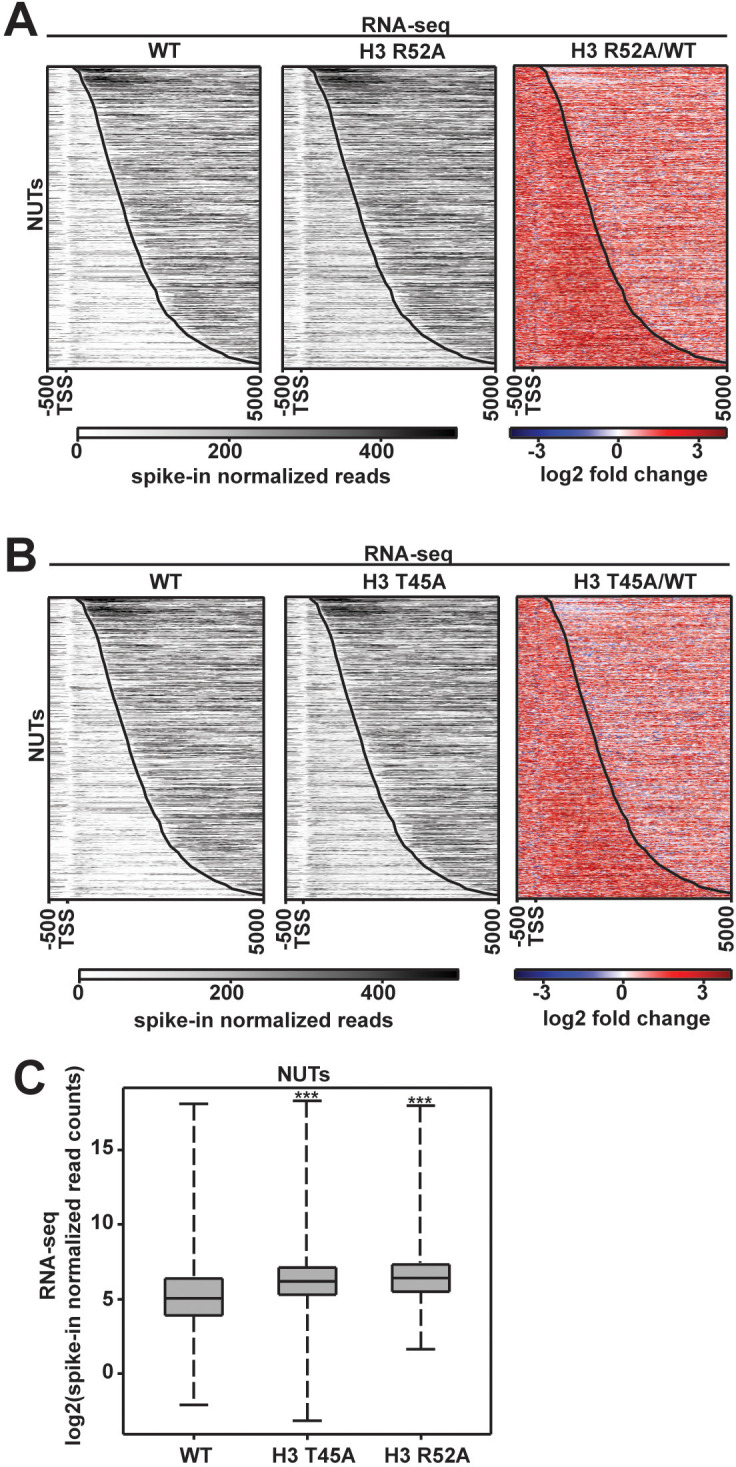 Figure 2—figure supplement 2.