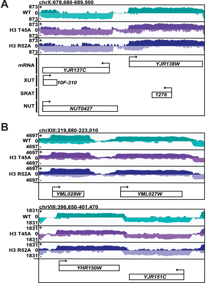 Figure 4—figure supplement 1.