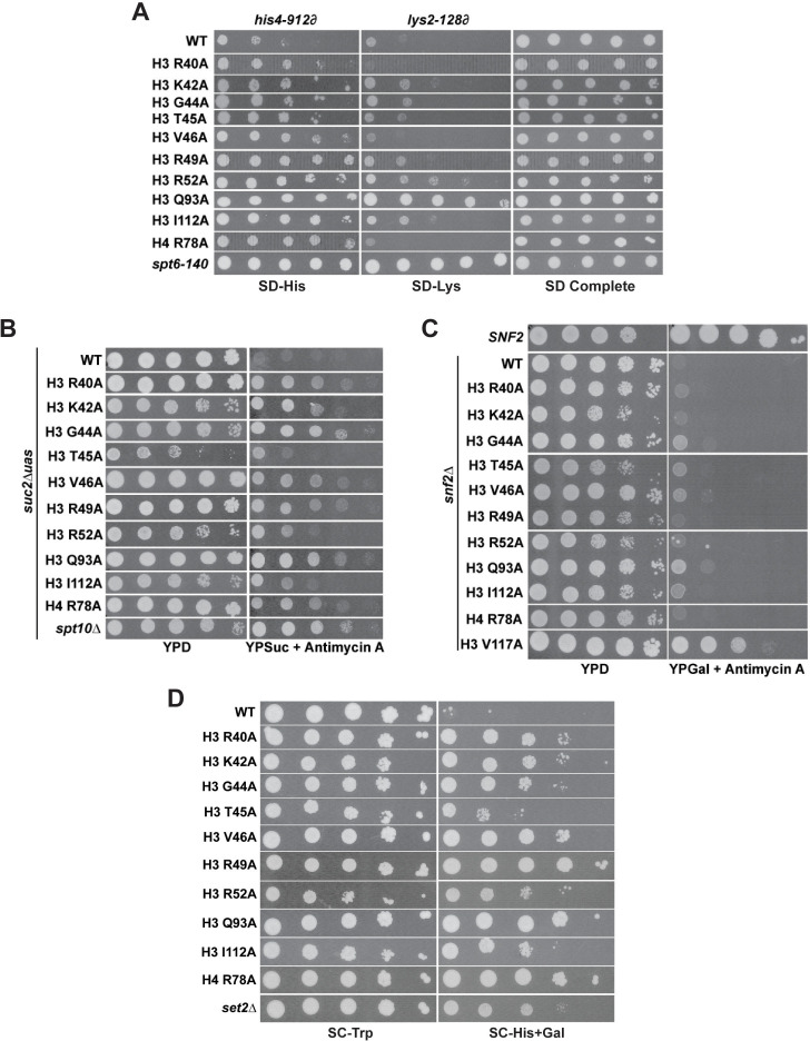 Figure 6—figure supplement 2.