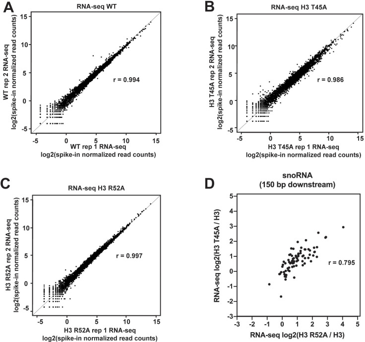 Figure 2—figure supplement 1.