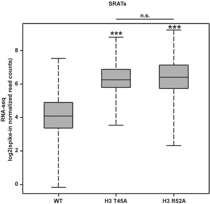 Figure 5—figure supplement 1.