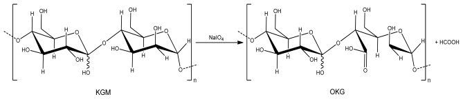 Scheme 2