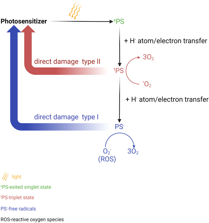 Figure 4