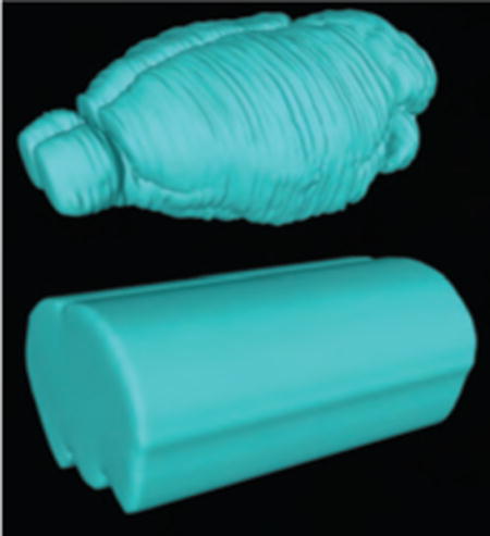 graphic file with name nihms977652u1.jpg