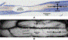 Figure 6: